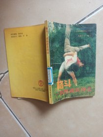 格斗一攻防组合技法........H4