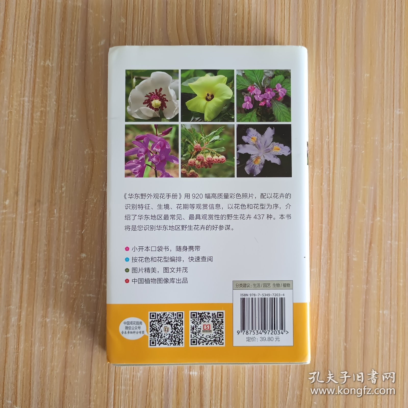 华东野外观花手册
