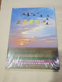 走进黄河口（DVD）全新未拆封