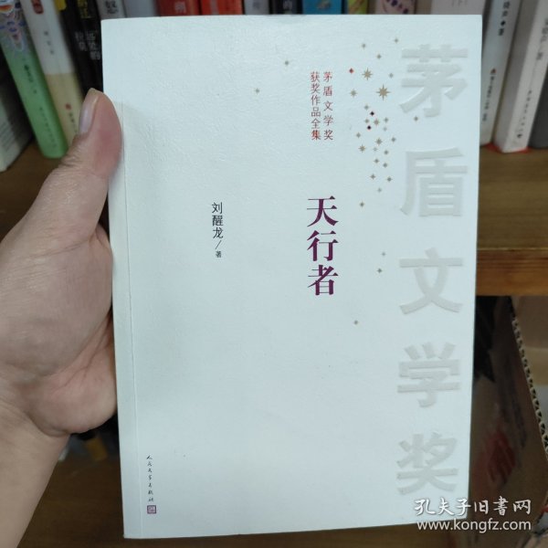 茅盾文学奖获奖作品全集：天行者