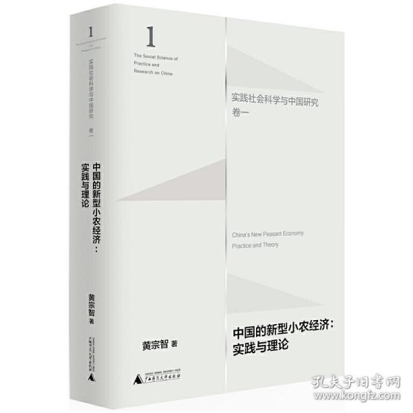 中国的新型小农经济：实践与理论（实践社会科学与中国研究·卷一）