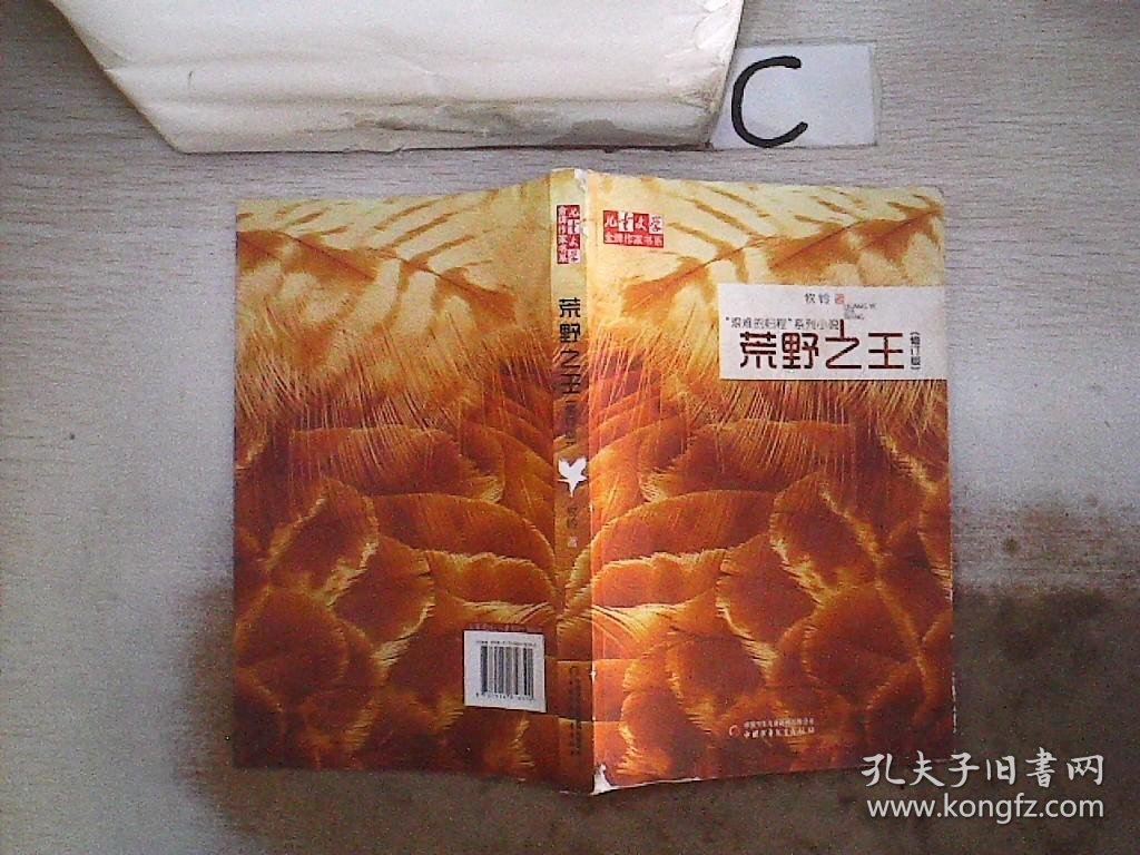 《儿童文学》金牌作家书系·牧铃“艰难的归程”系列——荒野之王（修订版）（书封破损）