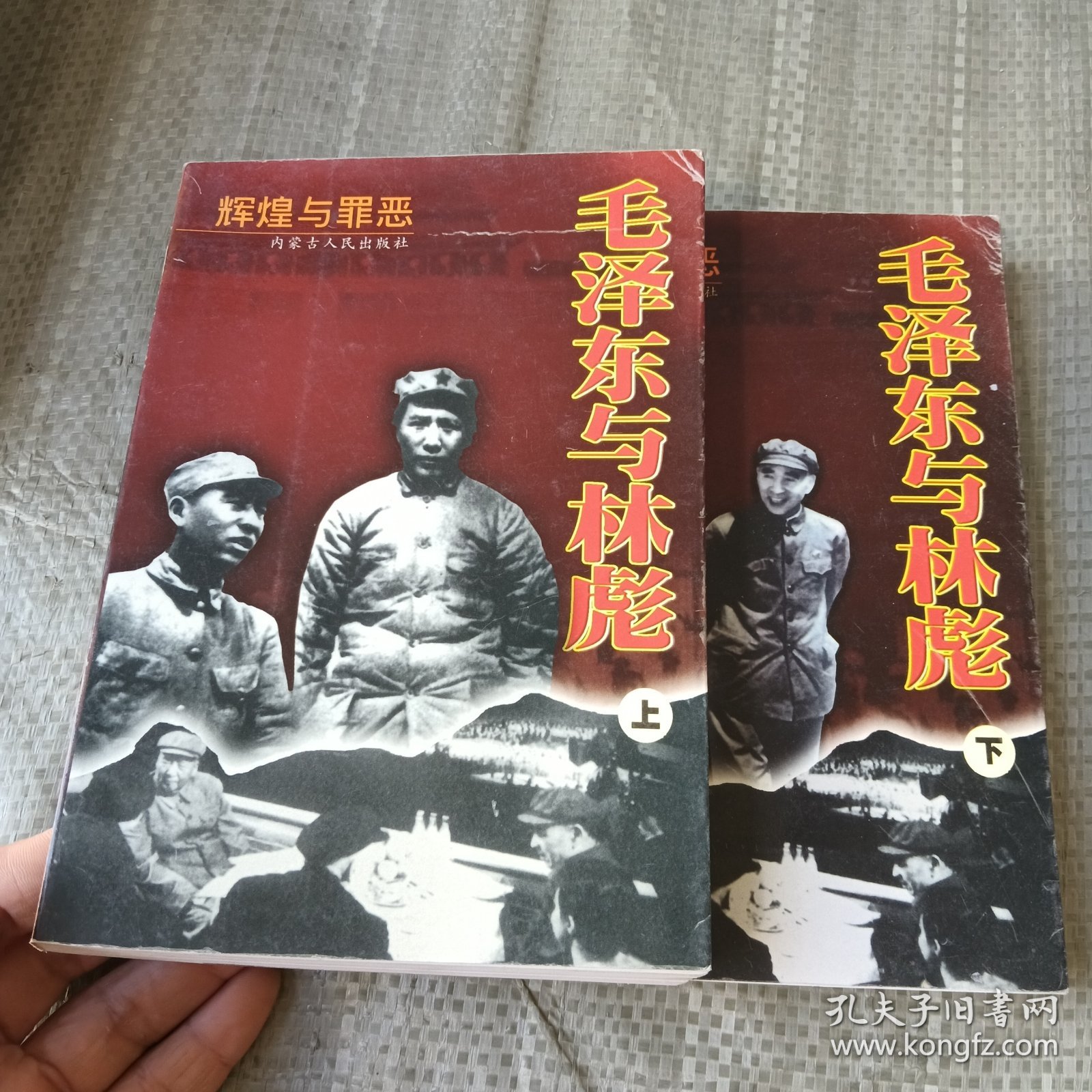 毛泽东与林彪 上下