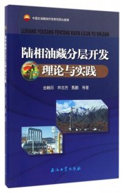 正版 陆相油藏分层开发理论与实践 9787518312375 石油工业