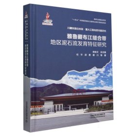 雅鲁藏布江缝合带地区泥石流发育特征研究