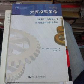 六西格玛革命：通用电气及其他公司如何将过程转化为利润