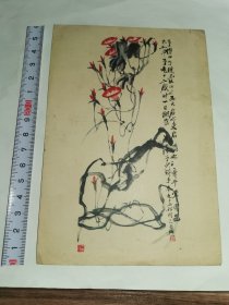 老画片---名人绘画！！---《牵牛花》！《齐白石 作，42开，1956年印，天津美术出版社》！