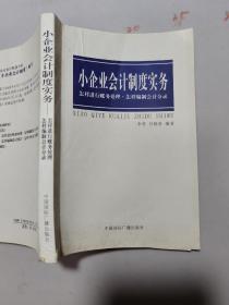 小企业会计制度实务:怎样进行账务处理·怎样编制会计分录