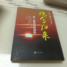 魂兮归来：金一南讲抗日战争