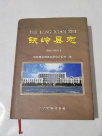 铁岭县志/精装