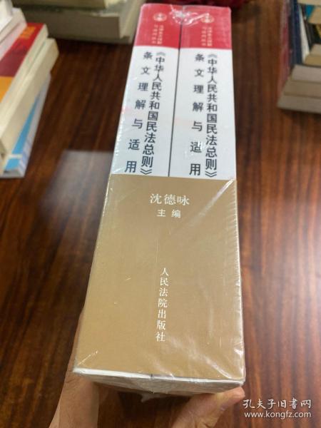 中华人民共和国民法总则 条文理解与适用（套装上下册）