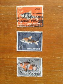 新加坡旧邮票3枚。新加坡鱼类。信销票。实图发货。