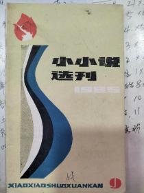 小小说选刊 1985年 月刊 全年第1-12期（第1、2、3、4、5、6、7、8、9、10、11、12期）总第1-12期