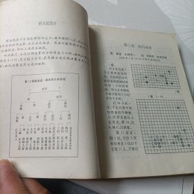 业余棋手的十大恶手、日本围棋大赛精选《2》、日本超级围棋手名局解析、世界围棋大赛、中日围棋擂台风云——共5册