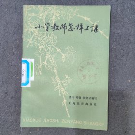 小学教师怎样上课