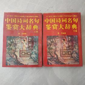 中国诗词名句鉴赏大辞典（上下）