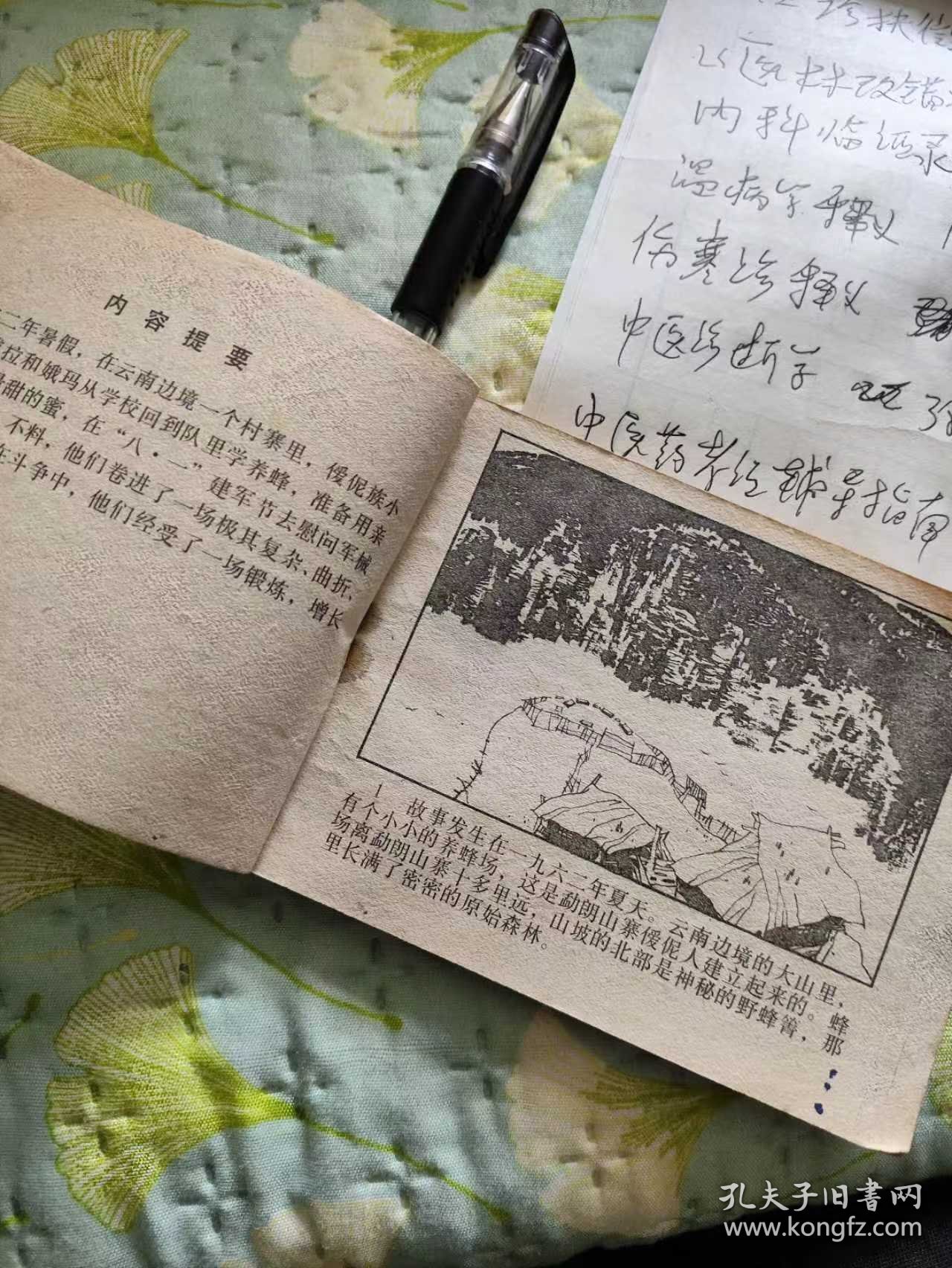 野蜂出没的山谷，连环画，小人书，