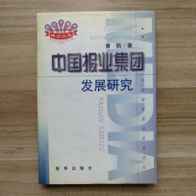 中国报业集团发展研究