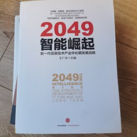 2049：智能崛起——新一代信息技术产业中长期发展战略