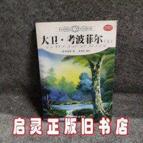 鲁滨逊漂流记