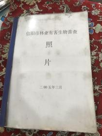 信阳市林业有害生物普查照片【大量真照片，如图】