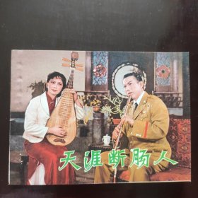 天涯断肠人