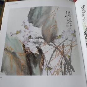 花鸟