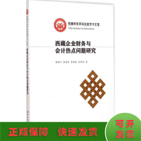 西藏民族学院经管学术文库：西藏企业财务与会计热点问题研究