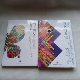 【未拆封】当下的力量系列（套装2册） 当下的力量实践手册（白金版）+当下的力量（白金版） 埃克哈特托利 著