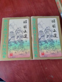 昭明文选(上下)