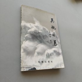 吴航风暴