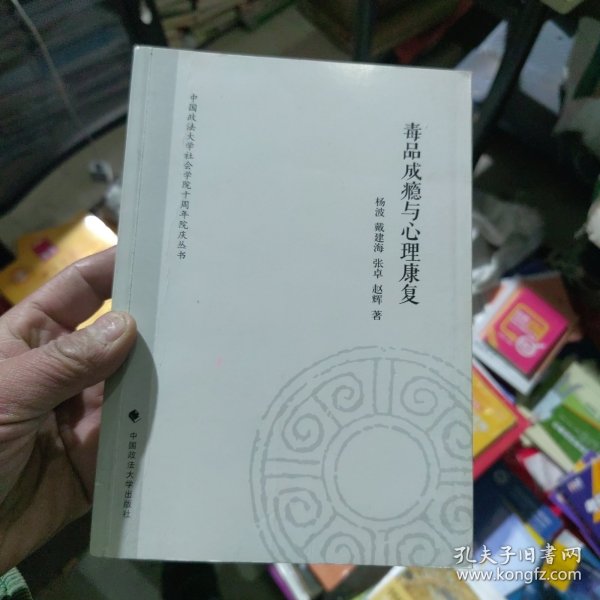 中国政法大学社会学院十周年院庆丛书：毒品成瘾与心理康复