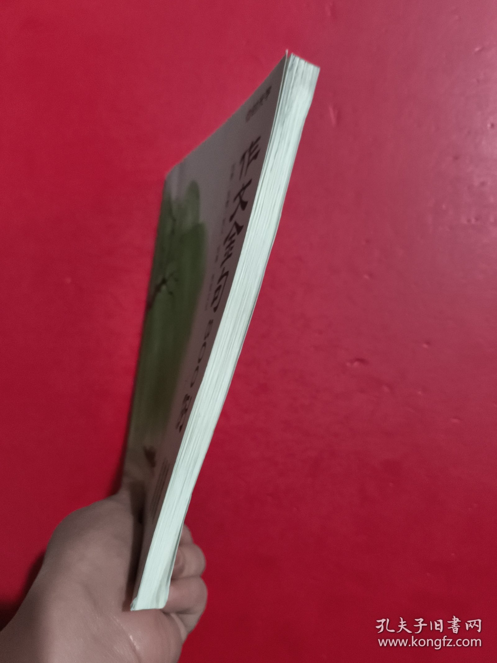 【时光学】作文金句800例 小学作文加分技巧素材积累大全小学版优秀满分作文书方法摘抄范文万能模板优美句子