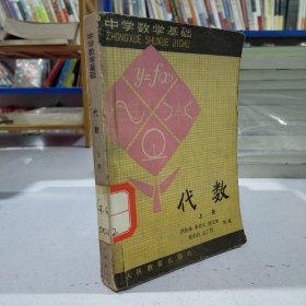 中学数学基础：代数（上册）