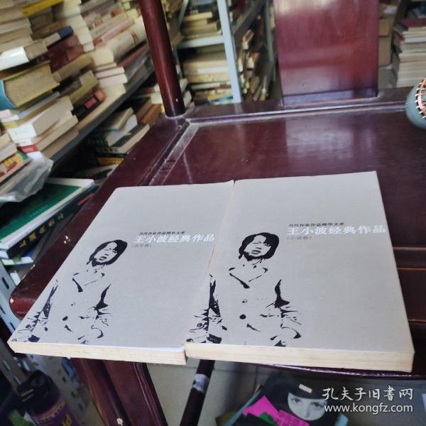 王小波经典作品：小说卷、杂文卷