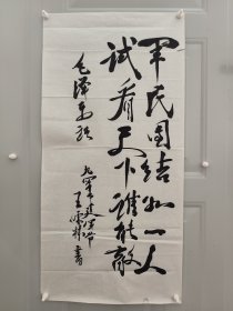王儒林。11年10月出生于山东省莱芜市。55年9月被授予上校军衔。荣获中华人民共和国二级独立自由勋章、二级解放勋章。60年晋升为大校。88年7月被中央军委授予中国人民解放军独立功勋荣誉章。最高军职是中国人民解军解放军军事科学院战史部副军职研究员（副军级），根据军（副军）级、军种各部部长的资历，可授予少将军衔。88年中国人民解放军第二次授衔前业已离休，超过了授衔时效，故无授衔。因此谓无衔将军
