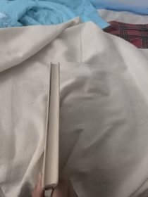 我这一辈子·正红旗下：老舍作品名家插图系列