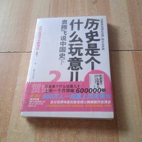 历史是个什么玩意儿2：袁腾飞说中国史下