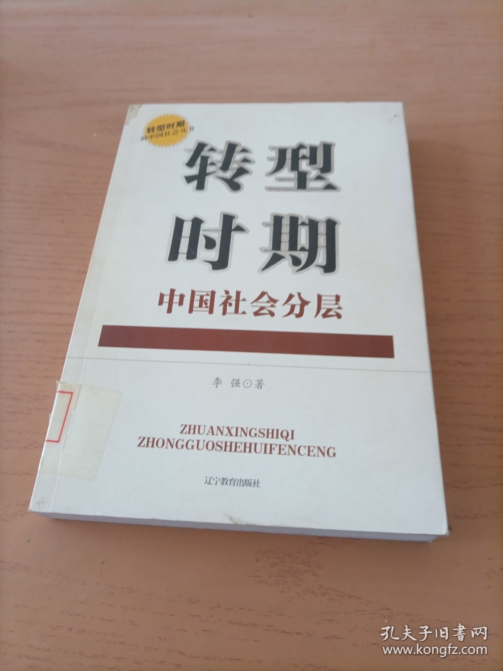 转型时期中国社会分层