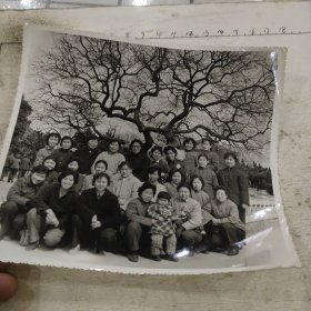 妇女同志24人武汉中山公园大树下合影