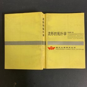 流形的拓扑学（武汉大学学术丛书）