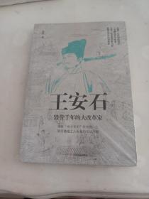 王安石：毁誉千年的大改革家