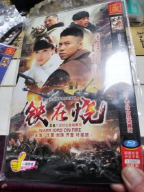 铁在烧（一碟DvD）
