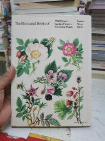 The Iiiustrated Book of Wild flowers