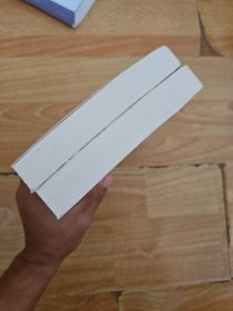 法益初论（上下 全两册）