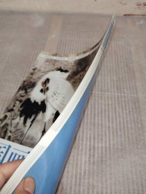 绘画教程：国画禽鸟