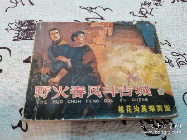 野火春风斗古城(三)桃花沟英雄突围