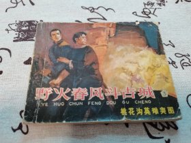 野火春风斗古城(三)桃花沟英雄突围