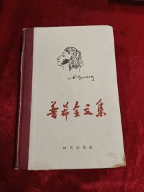 普希金文集(精装)