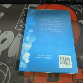 住在心里的魔法师（一版一印）